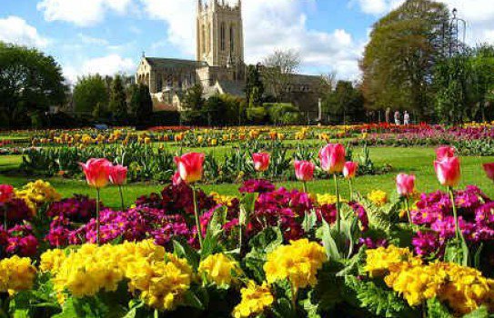 cursos de ingles en Bury ST Edmunds