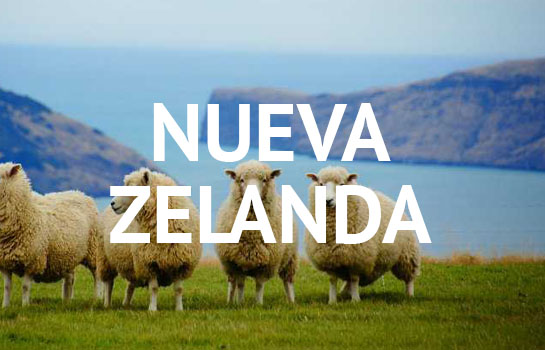 Estudiar inglés en Nueva Zelanda